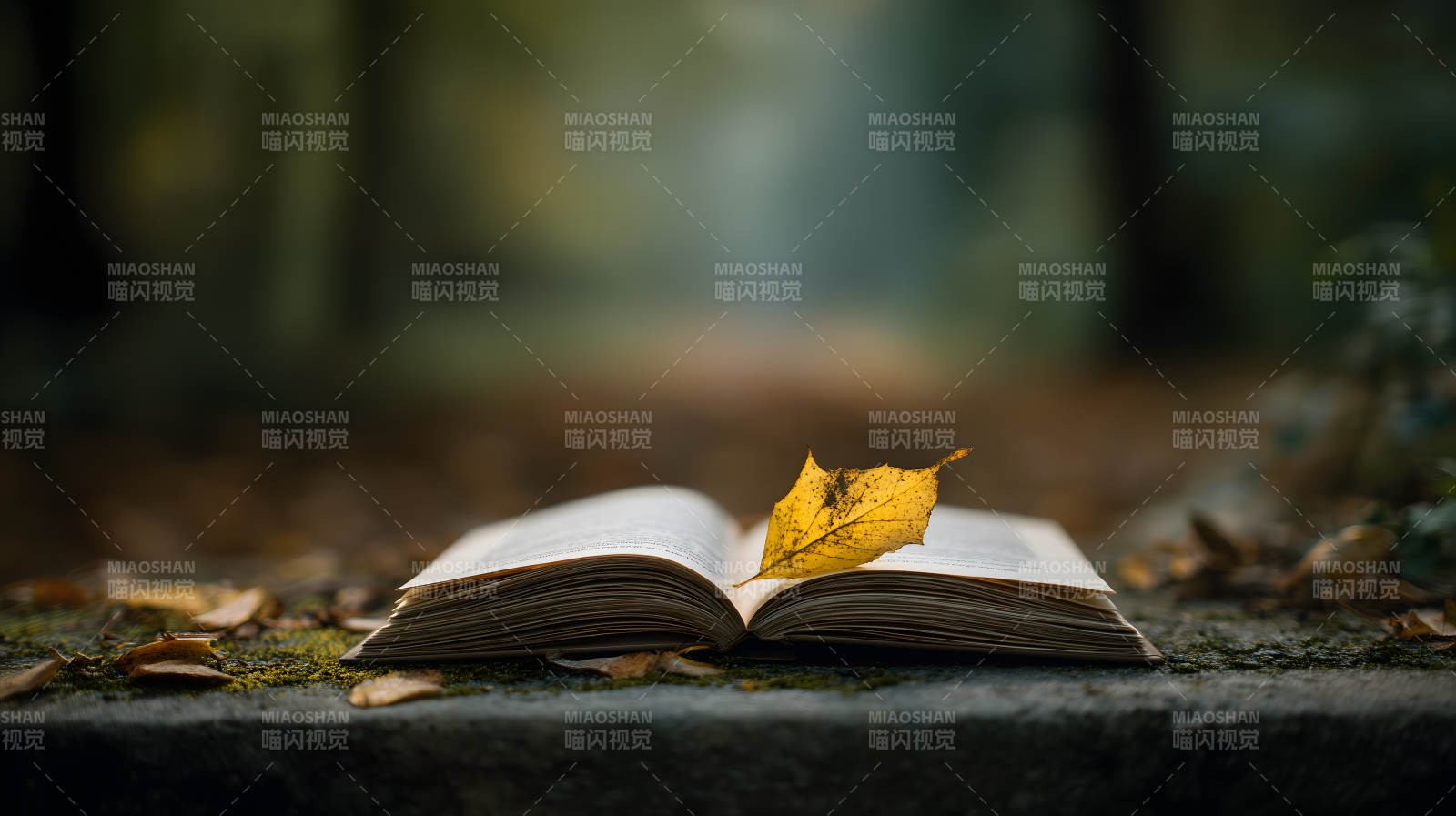 秋日森林里的书籍图片