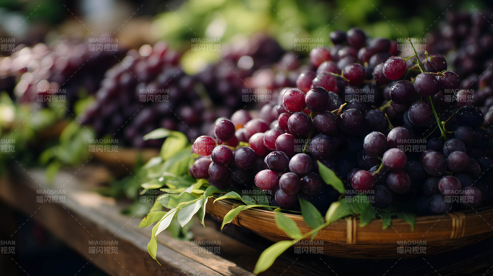 新鲜诱人的红提葡萄图片