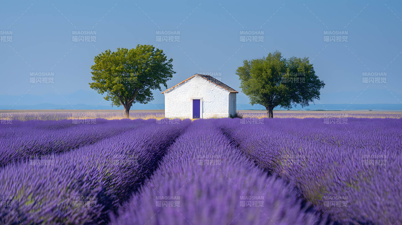 普罗旺斯薰衣草田园小屋图片