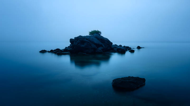 宁静海边礁石上的生命图片