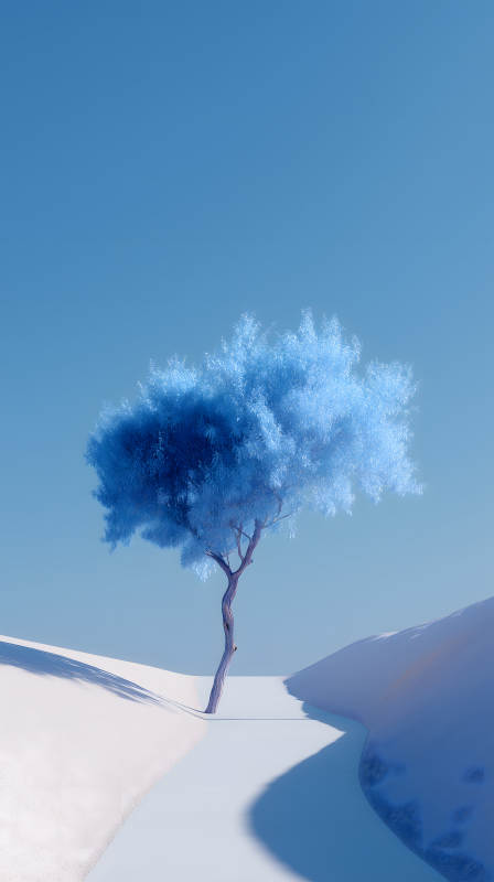 冰蓝孤树与白沙丘图片