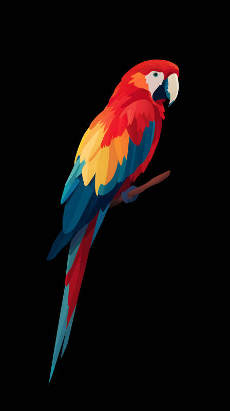 色彩斑斓的红金刚鹦鹉图片