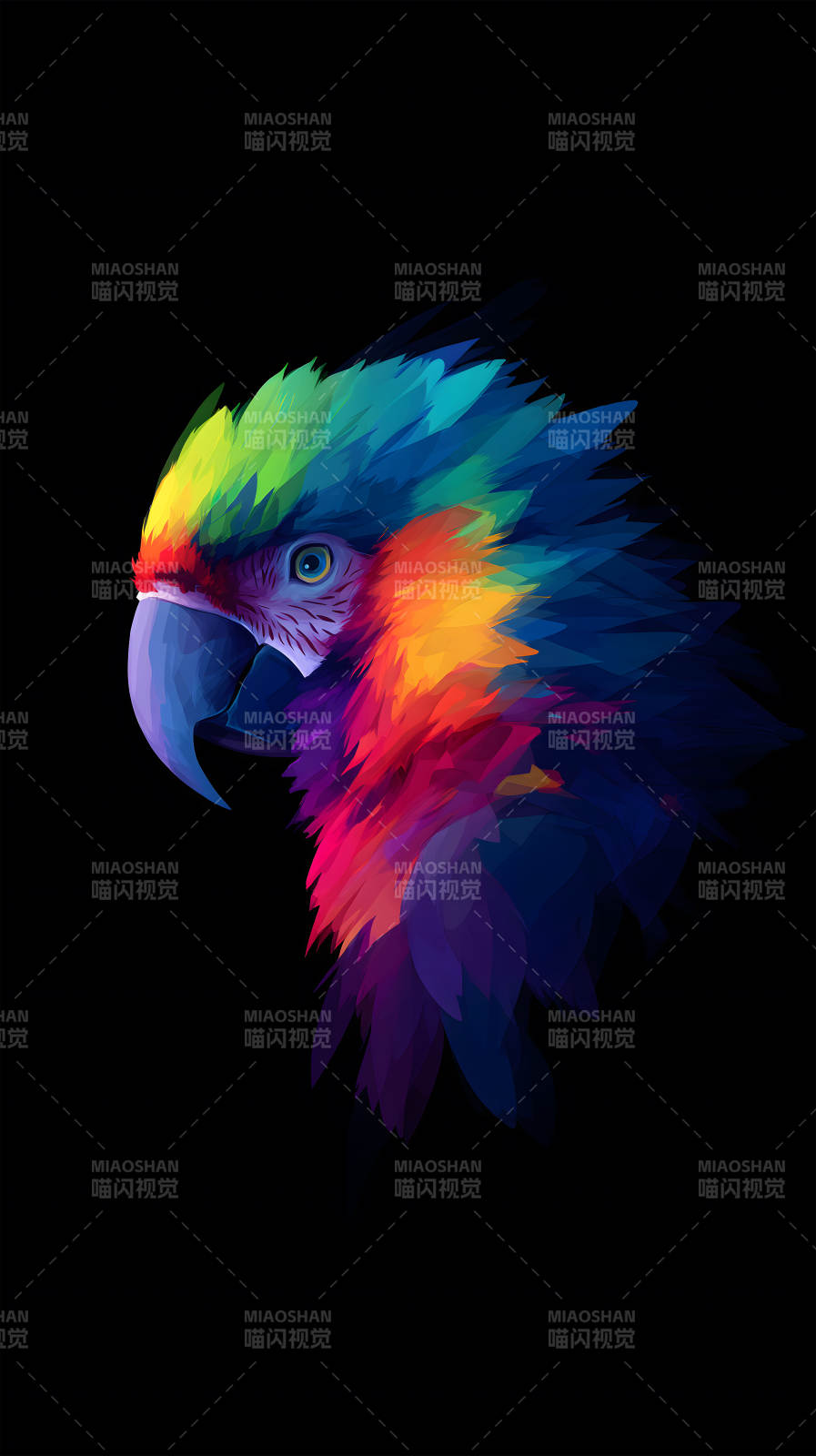 炫彩鹦鹉的侧颜肖像图片