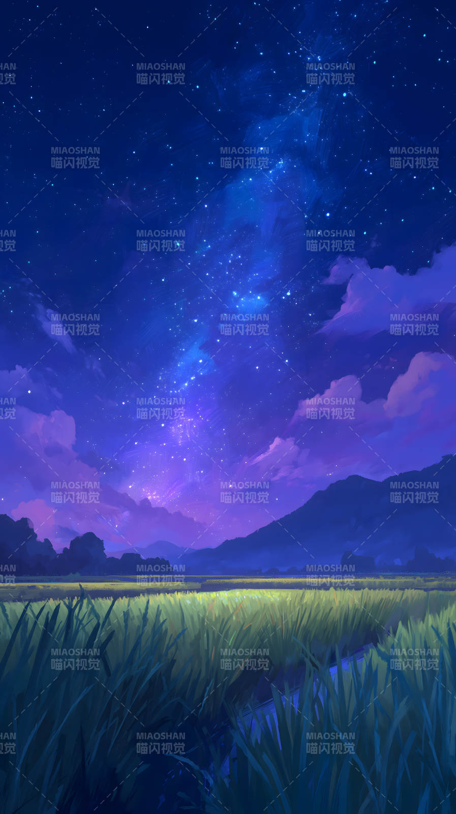 星空下的宁静稻田图片
