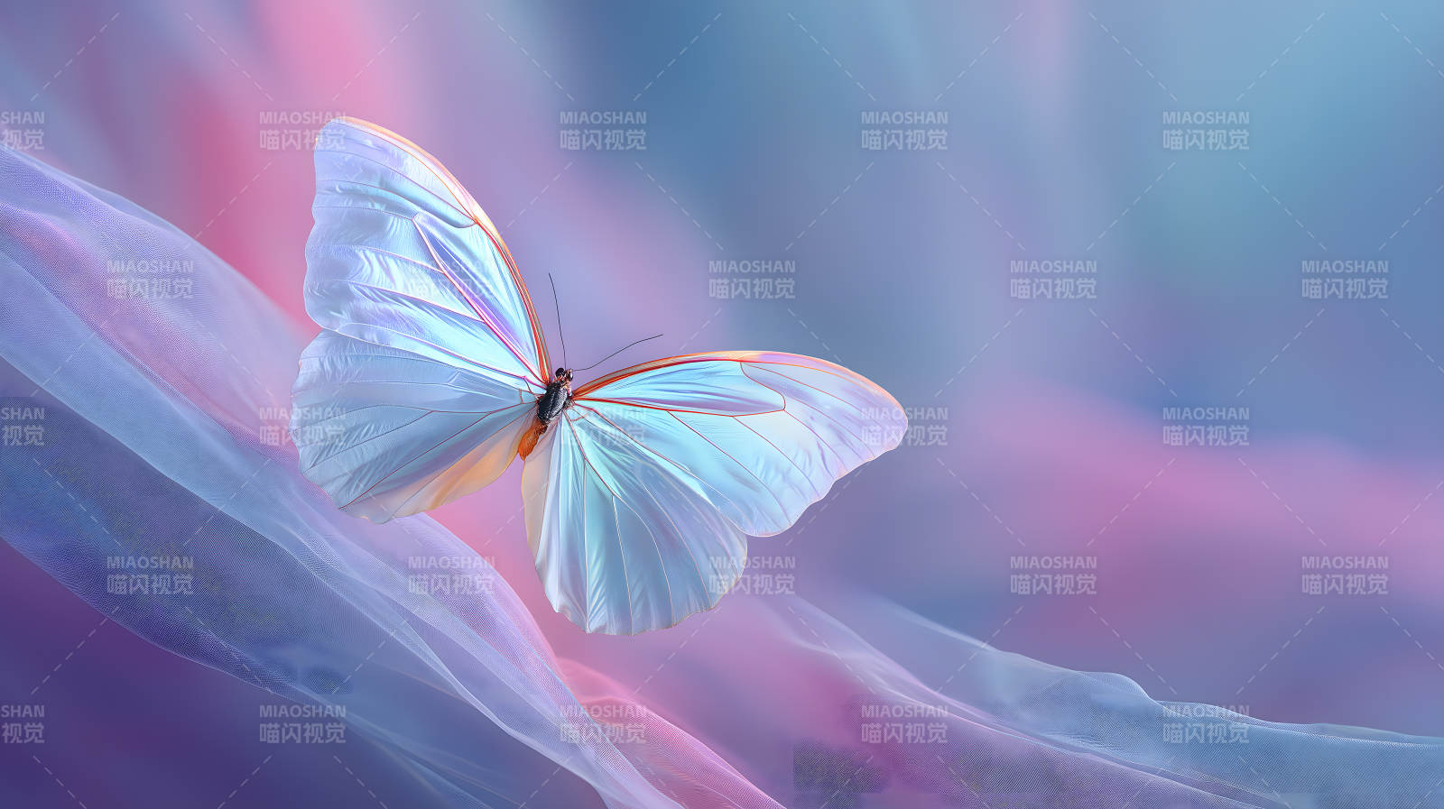 轻柔梦幻的蓝色蝴蝶图片