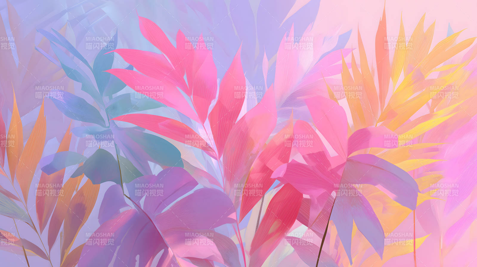 梦幻般的粉色植物叶片图片