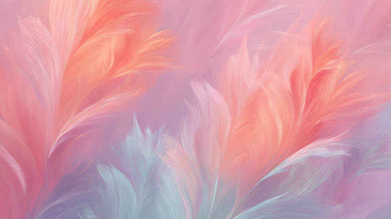 柔和粉色羽毛抽象艺术图片
