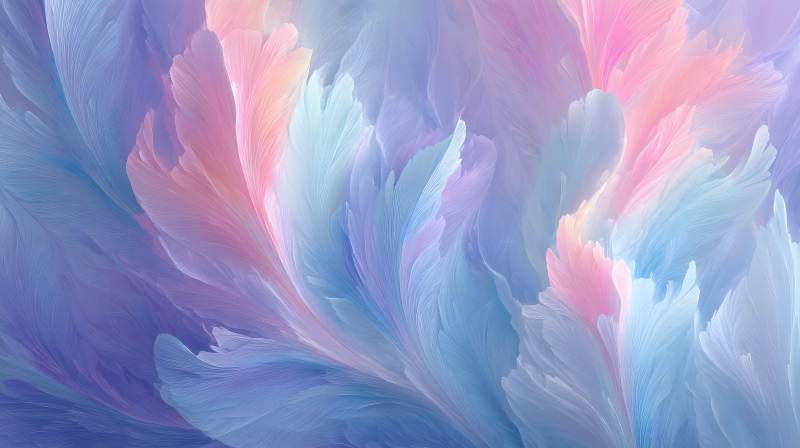 梦幻般的轻柔羽毛画图片