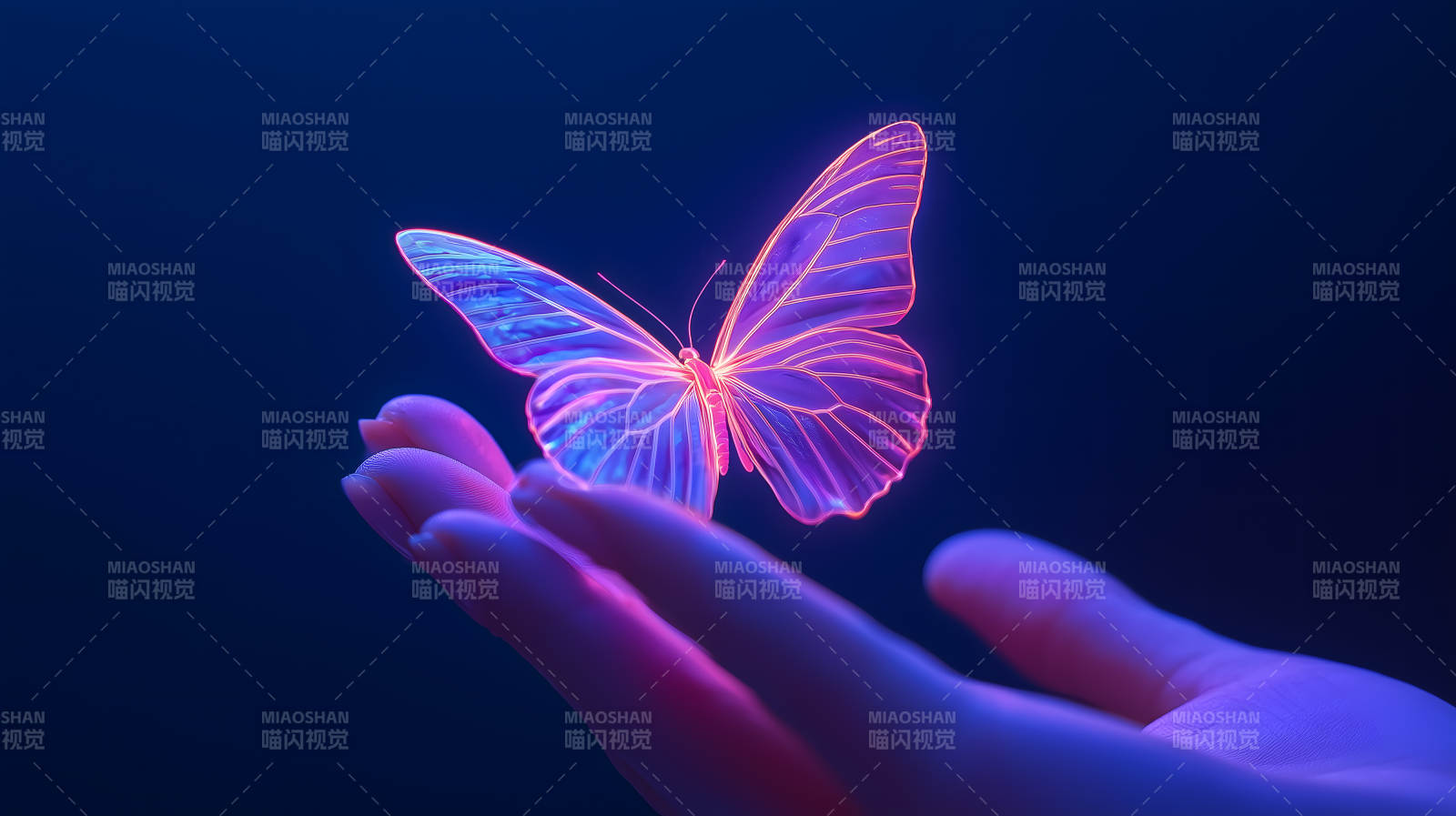 霓虹蝴蝶与指尖图片