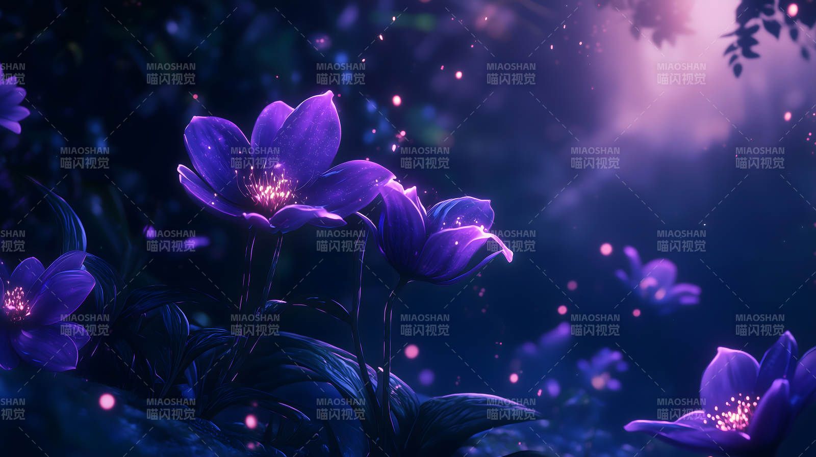 夜幕下的紫罗兰图片