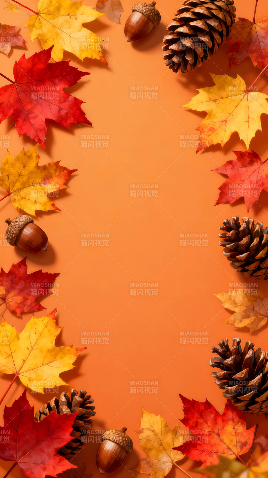 秋季装饰枫叶松果和橡子图片