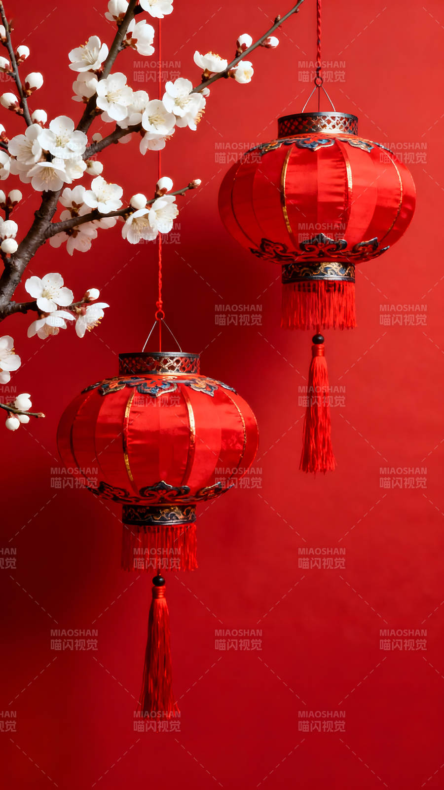 喜庆红灯笼与白梅花绽放图片