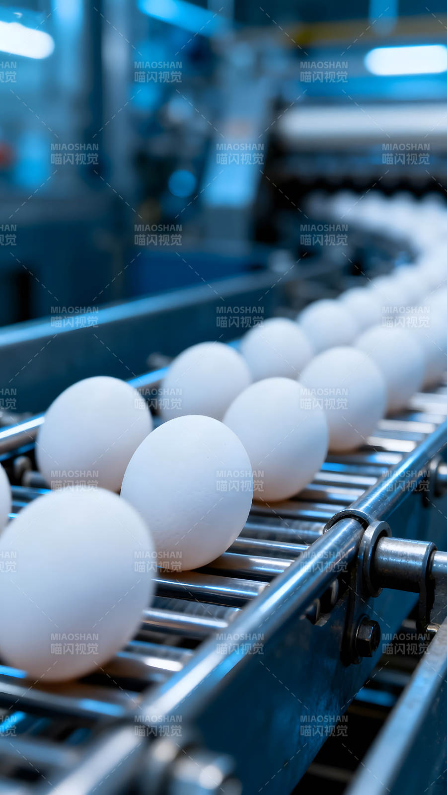 鸡蛋在生产线上运输图片