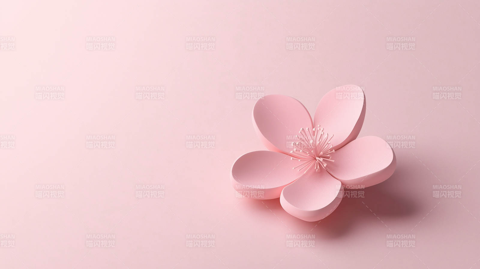 简约粉色花卉图片