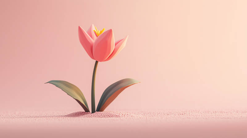 简约粉色花卉图片