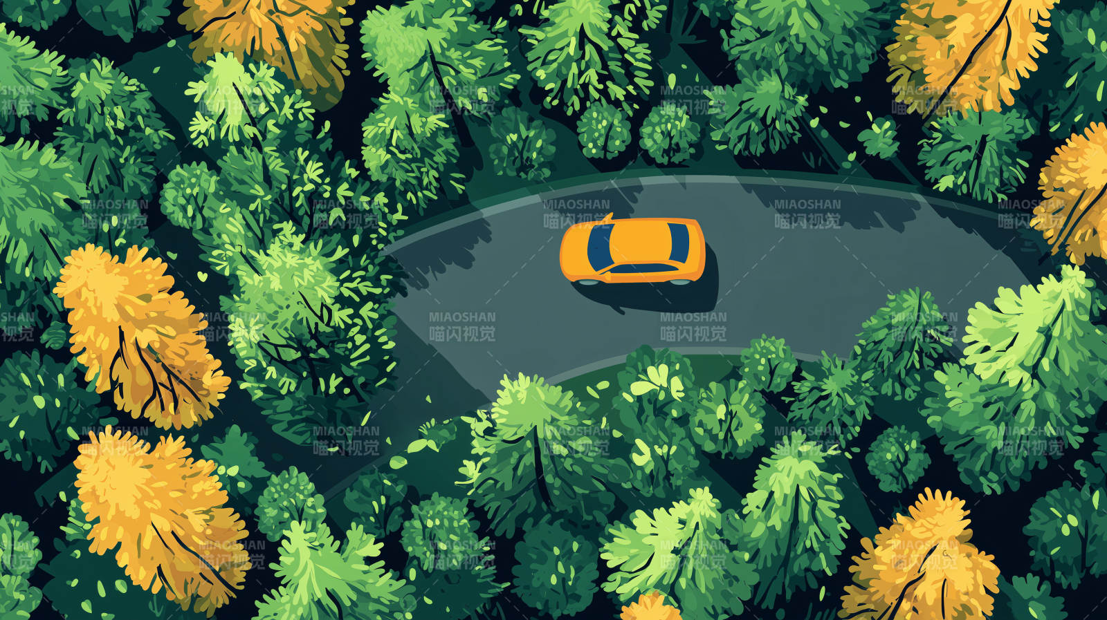 鸟瞰公路与树林图片