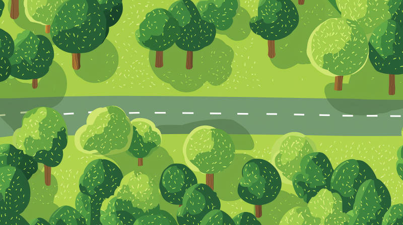 鸟瞰公路与树林图片