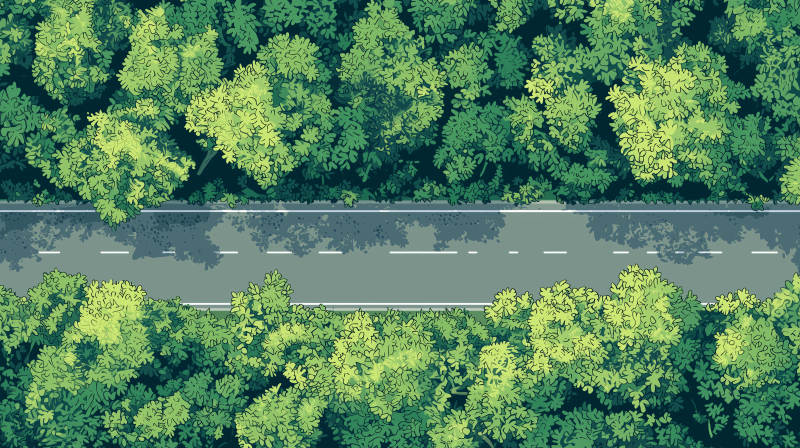 鸟瞰公路与树林图片