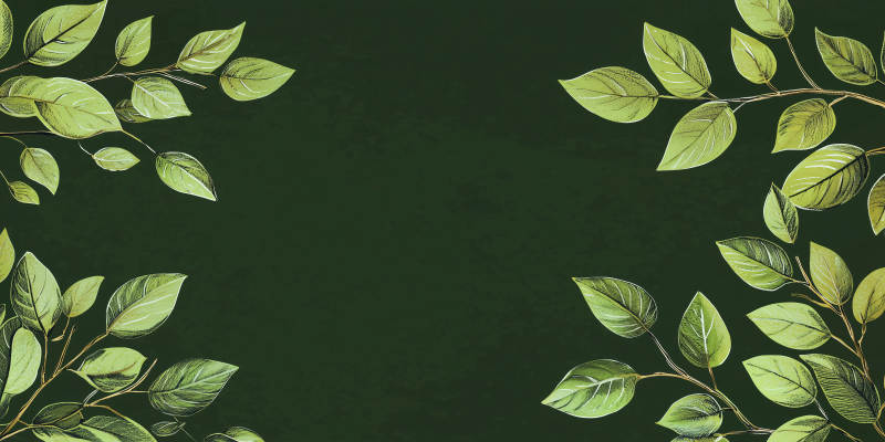 静谧蓝绿叶背景图图片