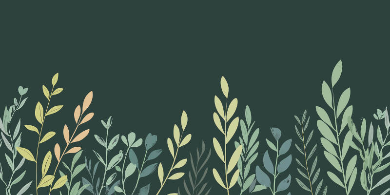 静谧蓝绿叶背景图图片