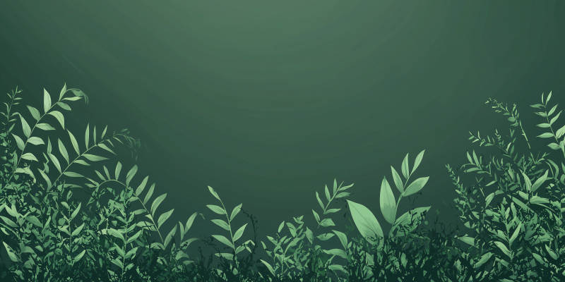 静谧蓝绿叶背景图图片