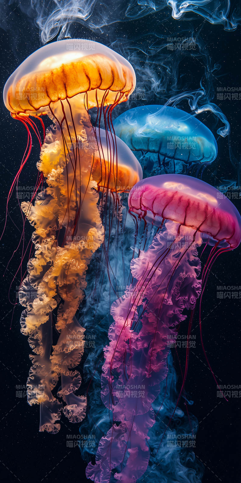 深海梦幻水母图片