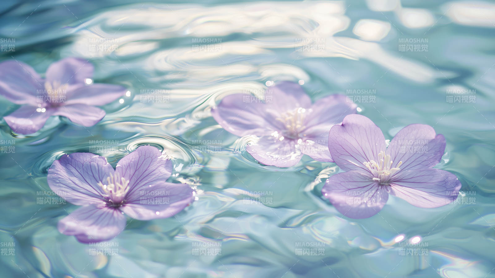 轻柔花瓣水面舞图片