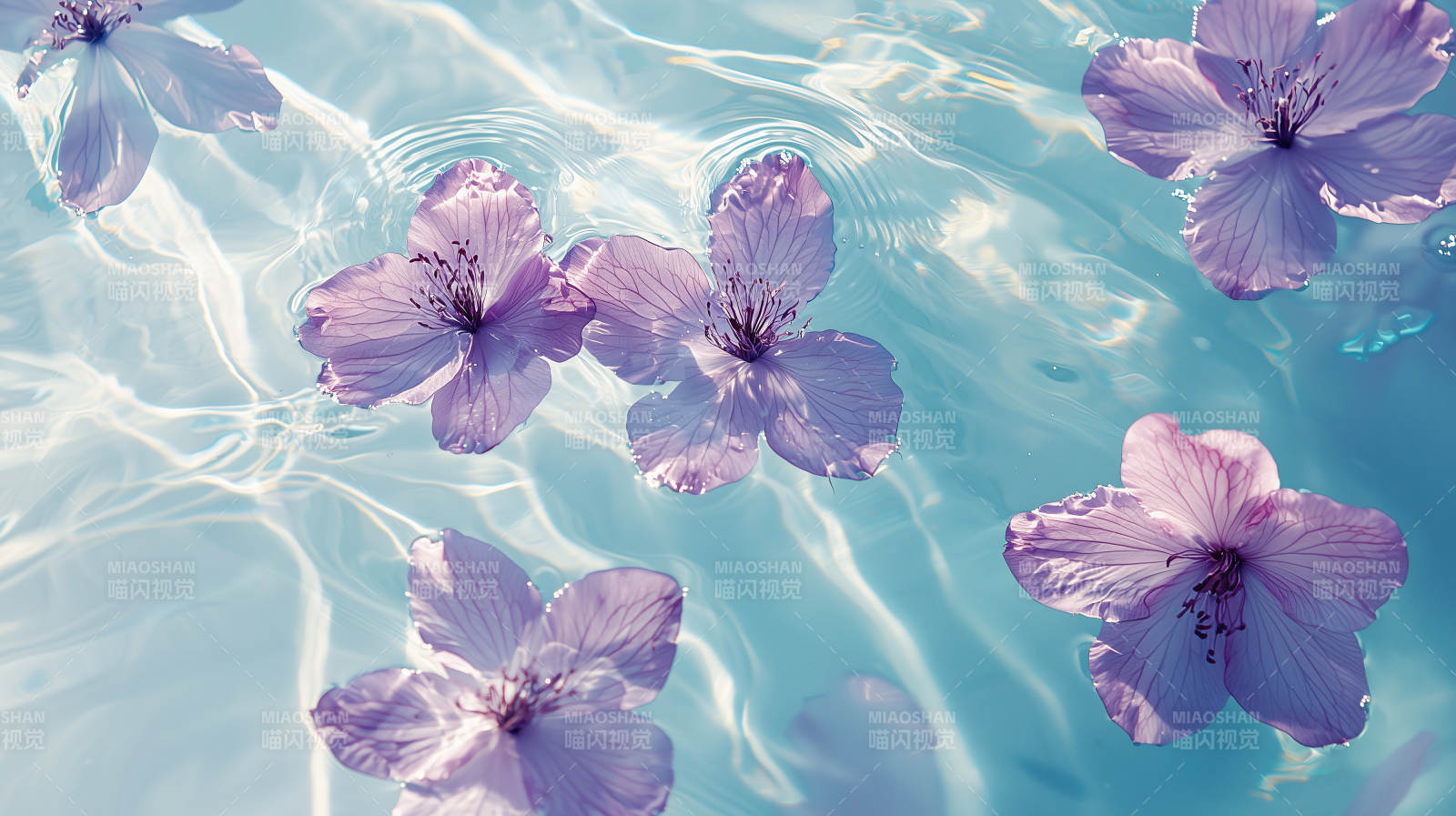 轻柔花瓣水面舞图片