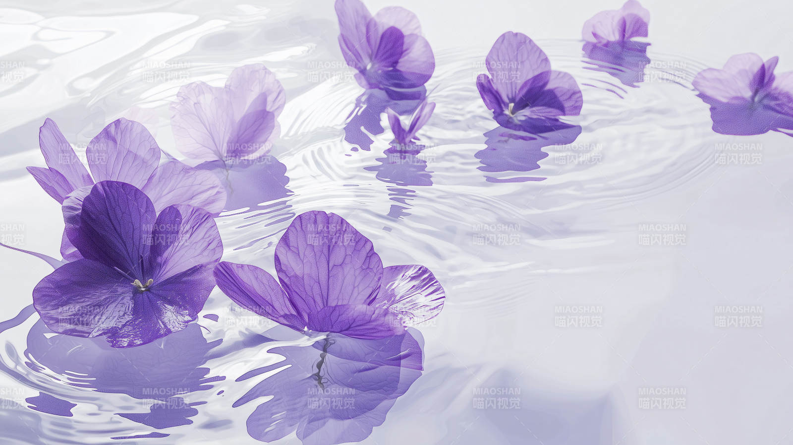 轻柔花瓣水面舞图片