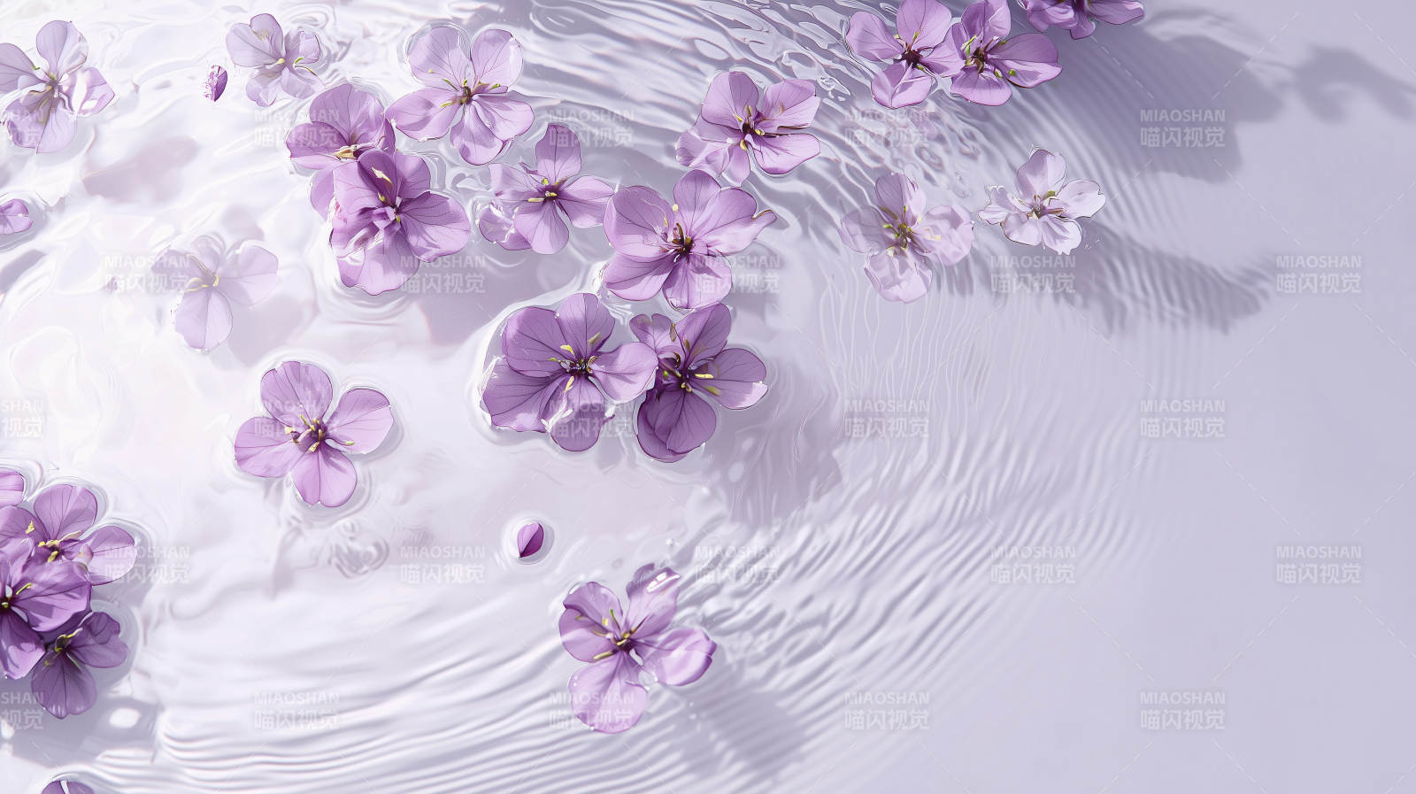 轻柔花瓣水面舞图片