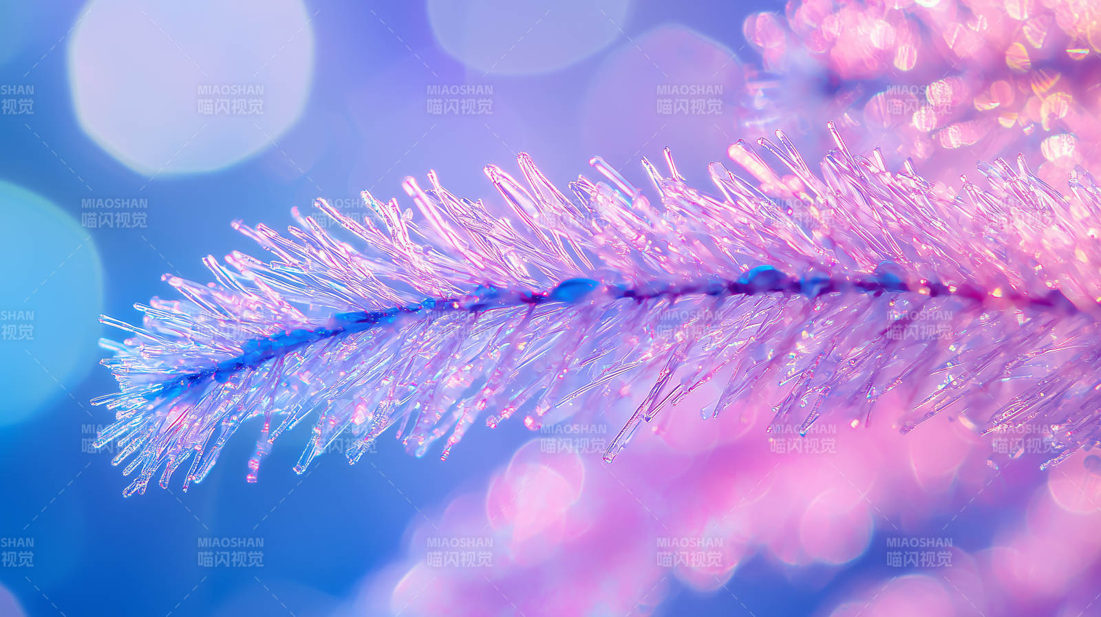 冰晶树枝的梦幻光影图片