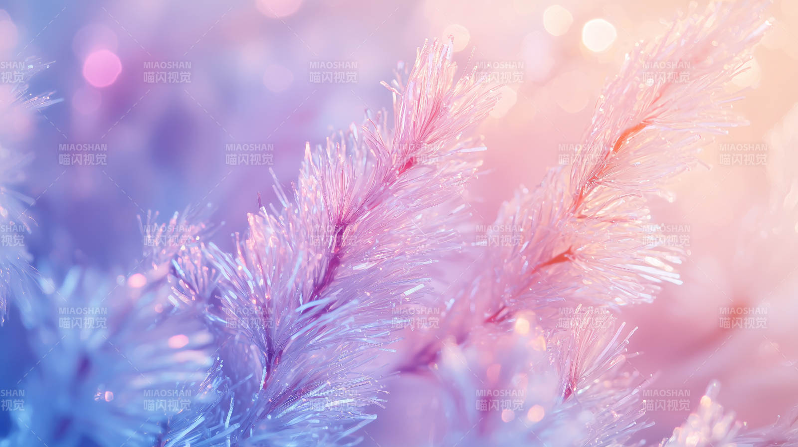 冰晶树枝的梦幻光影图片