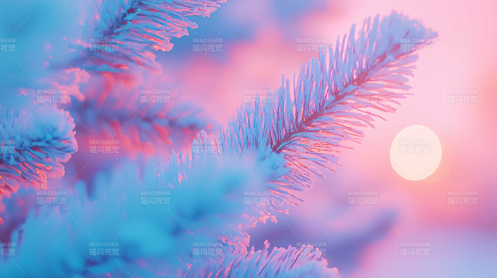 冰晶树枝的梦幻光影图片