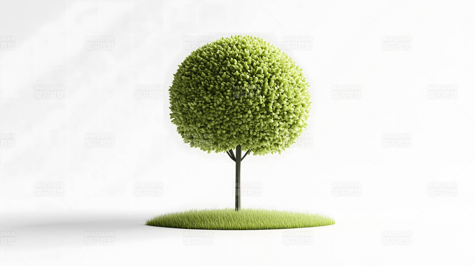 绿意盎然的球形树图片