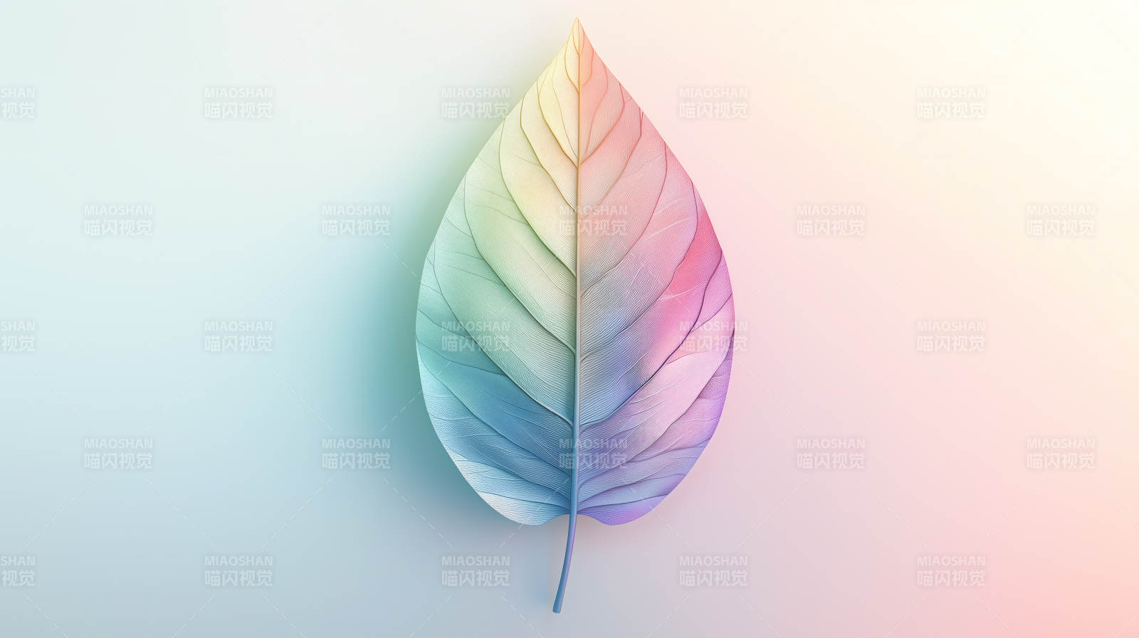 梦幻色彩的生命之叶图片