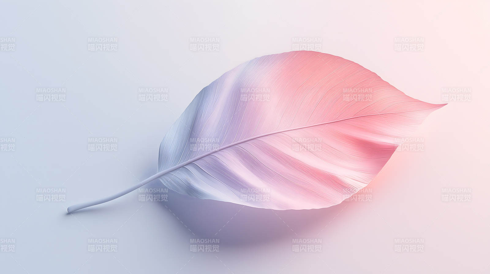 梦幻色彩的生命之叶图片