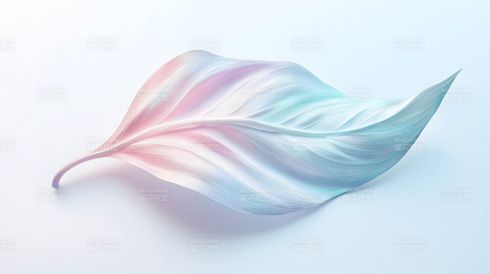 梦幻色彩的生命之叶图片