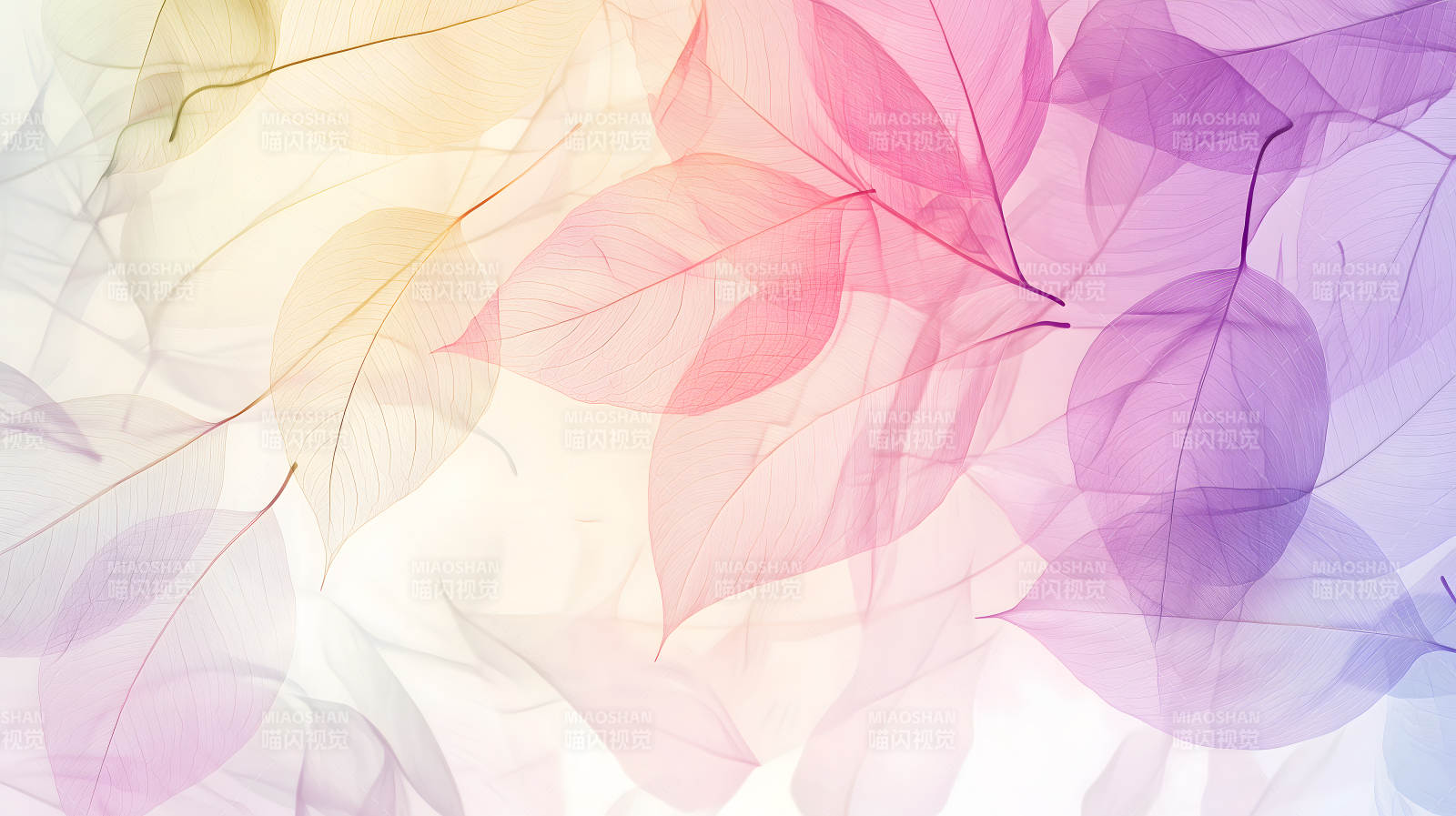 轻盈叶脉的色彩交响图片