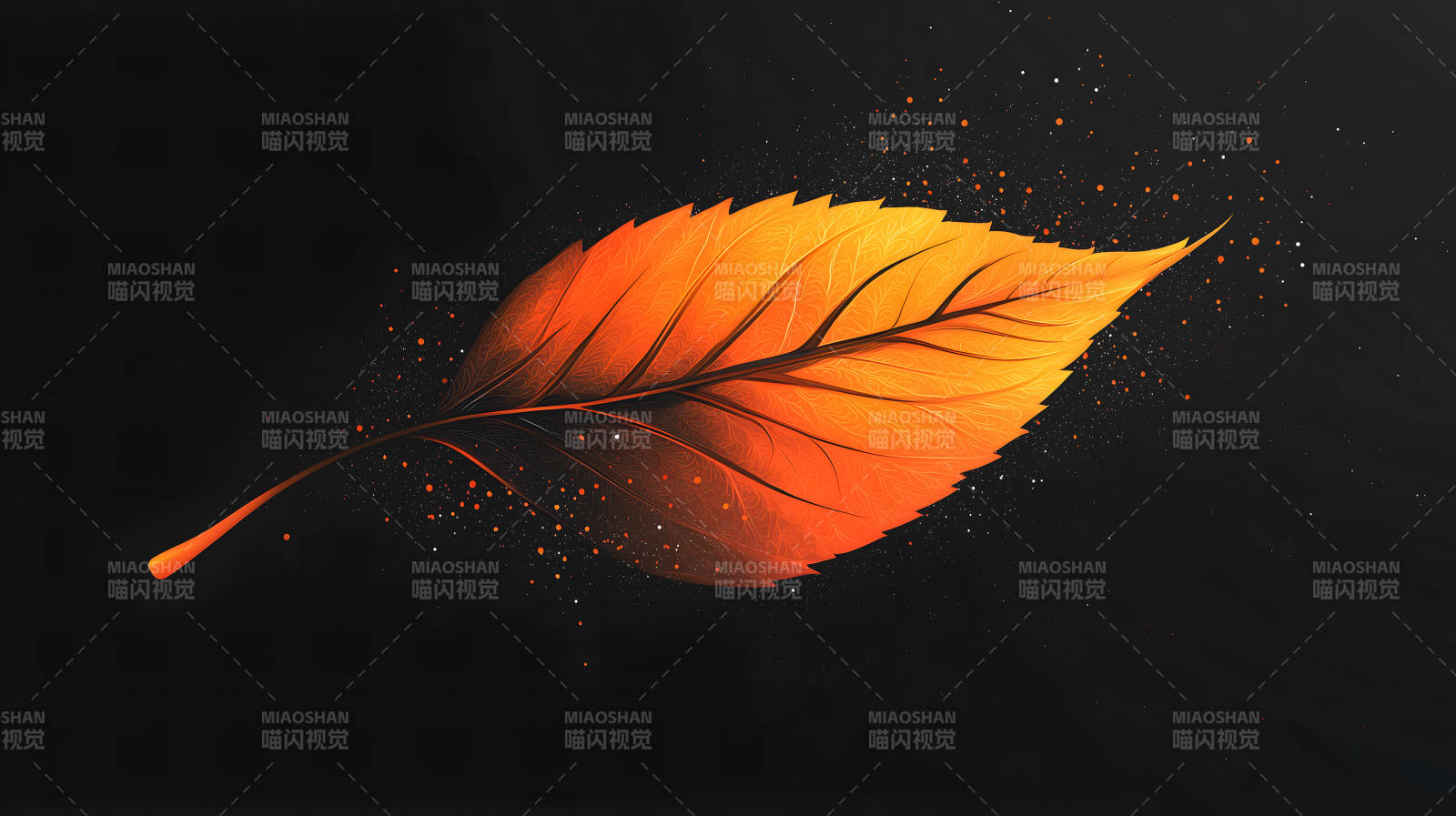 秋叶的诗意光影图片