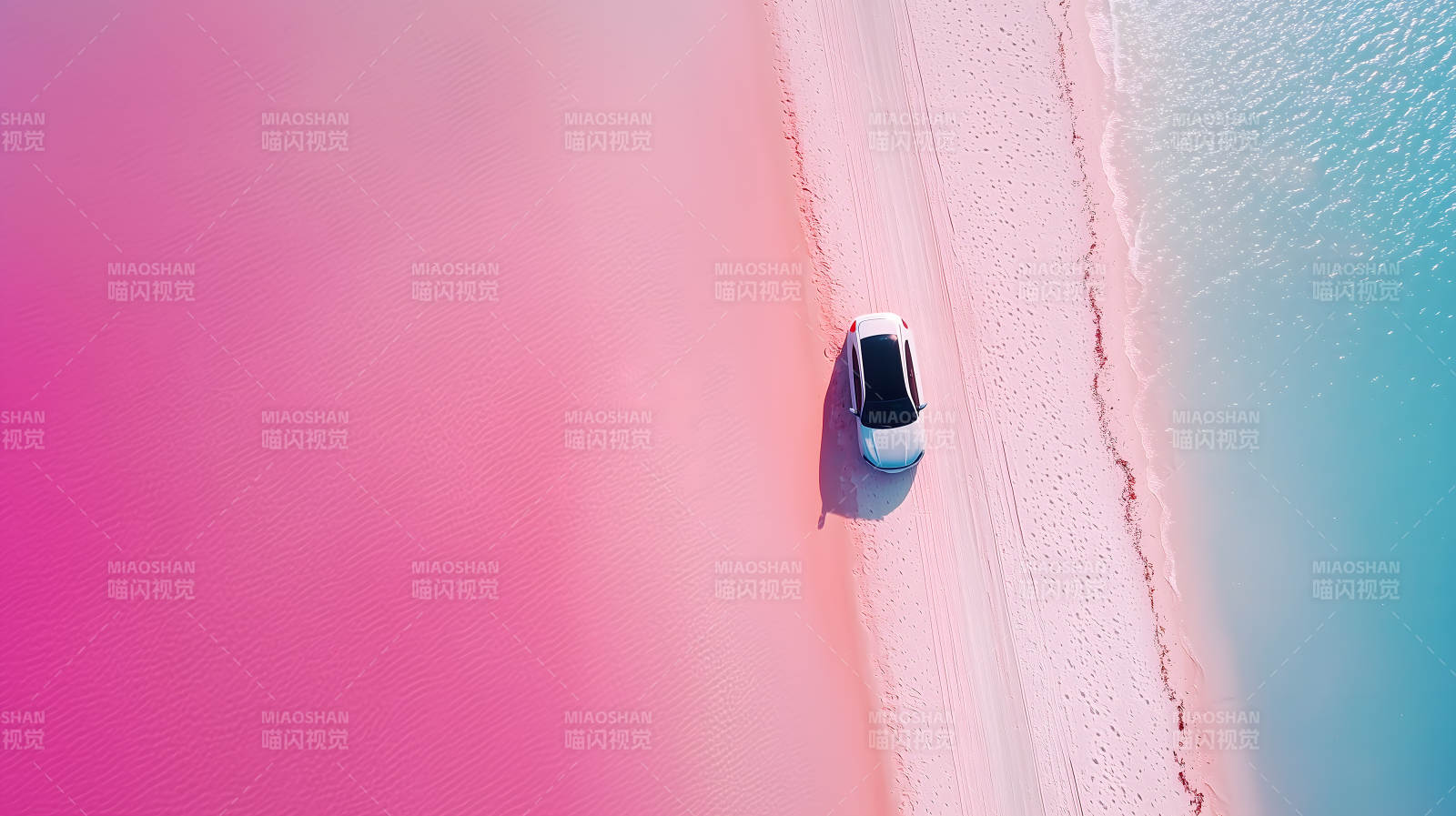 粉色盐湖上的纯白之旅图片