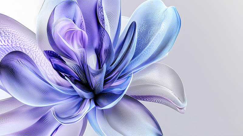 流光溢彩的抽象花瓣图片