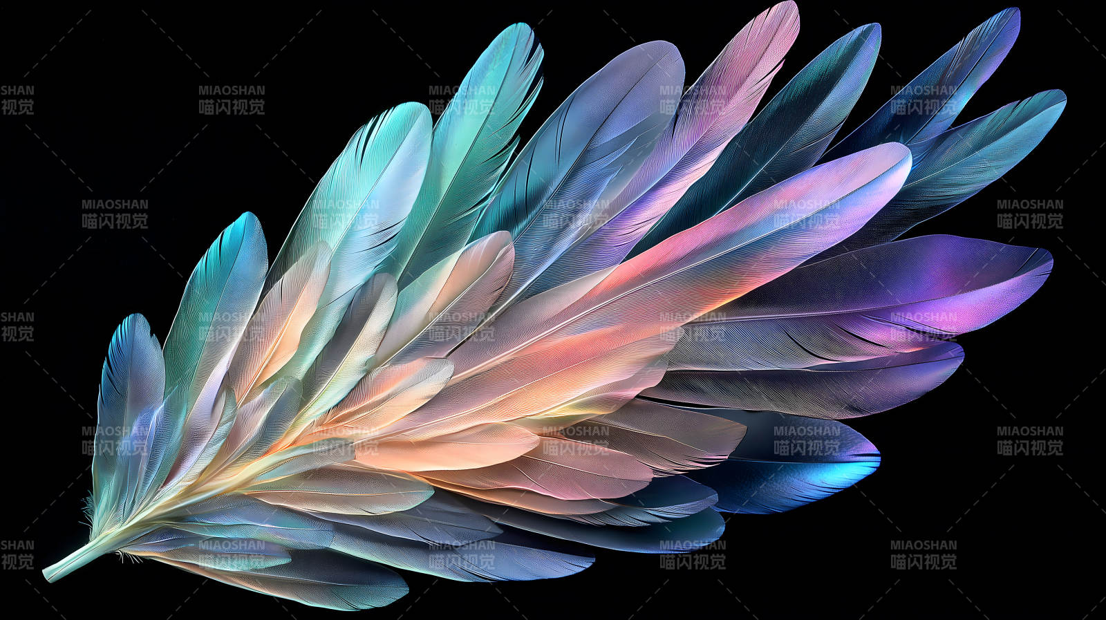 轻盈羽毛的色彩交织图片