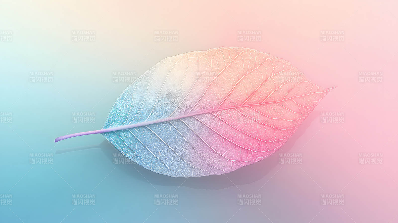 幻彩叶脉的轻盈之美图片