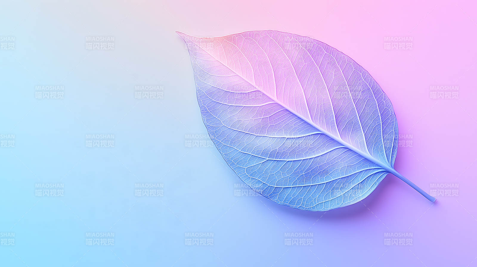 幻彩叶脉的轻盈之美图片