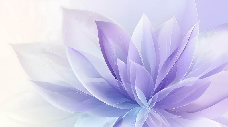 流光溢彩的抽象花瓣图片