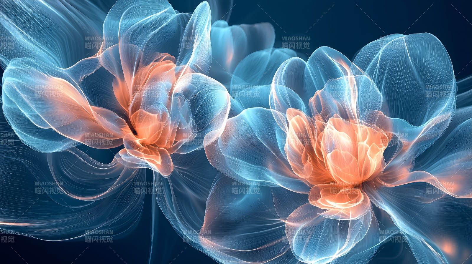 光影交织的透明花朵图片