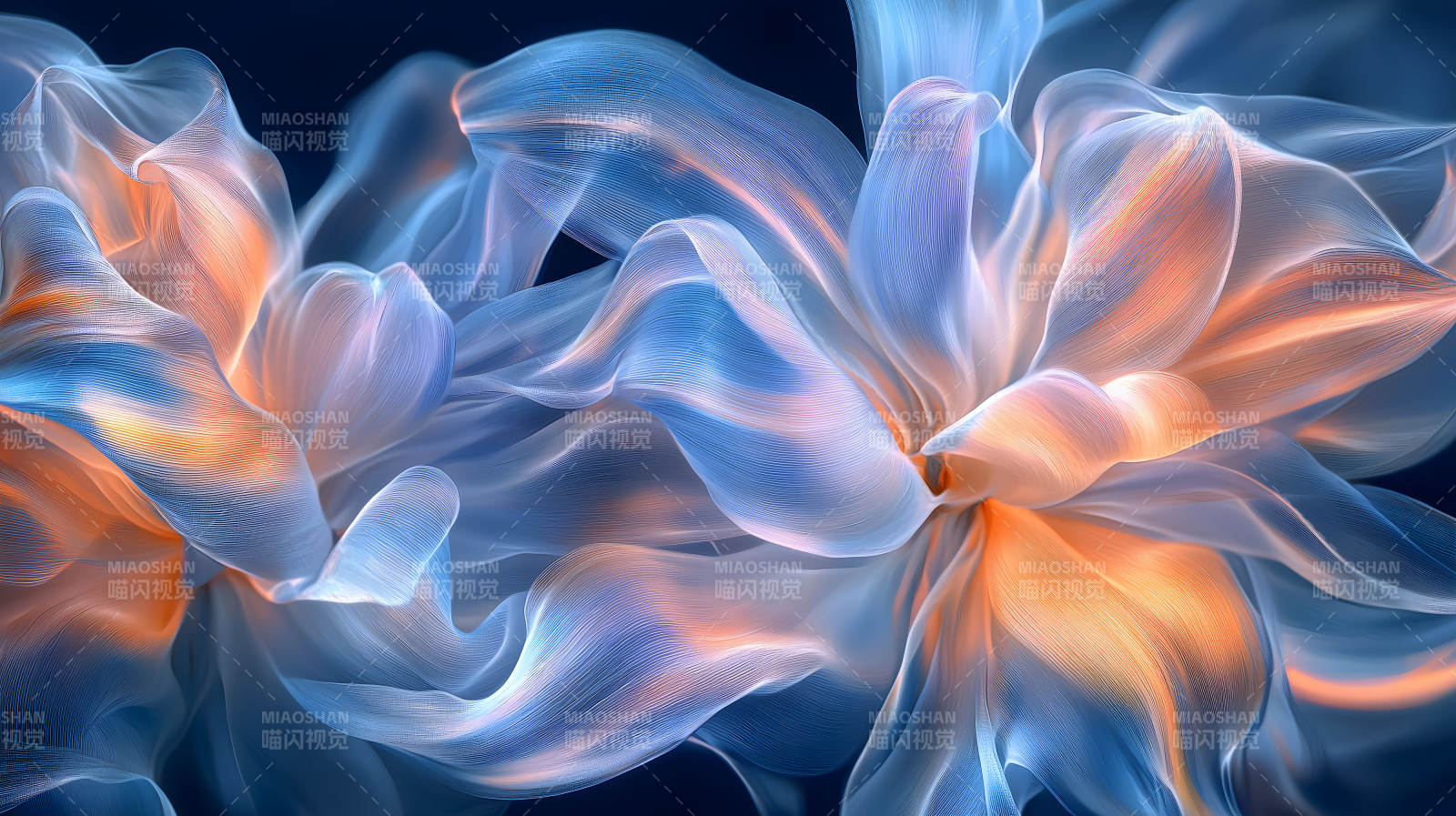 光影交织的透明花朵图片