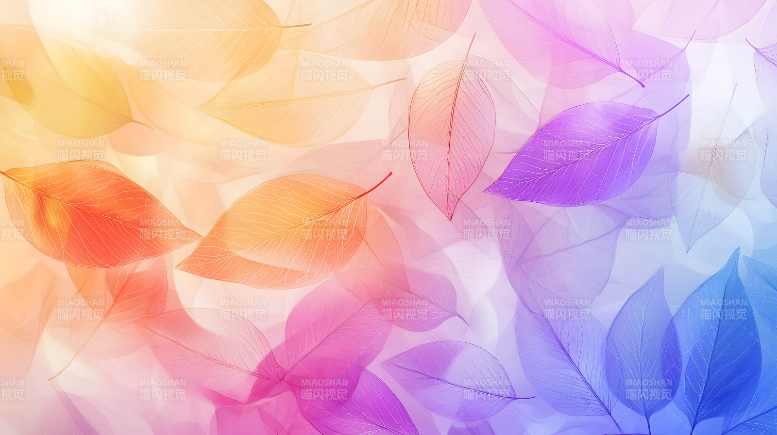 梦幻柔美的叶脉光影图片