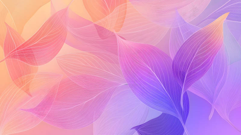 梦幻柔美的叶脉光影图片