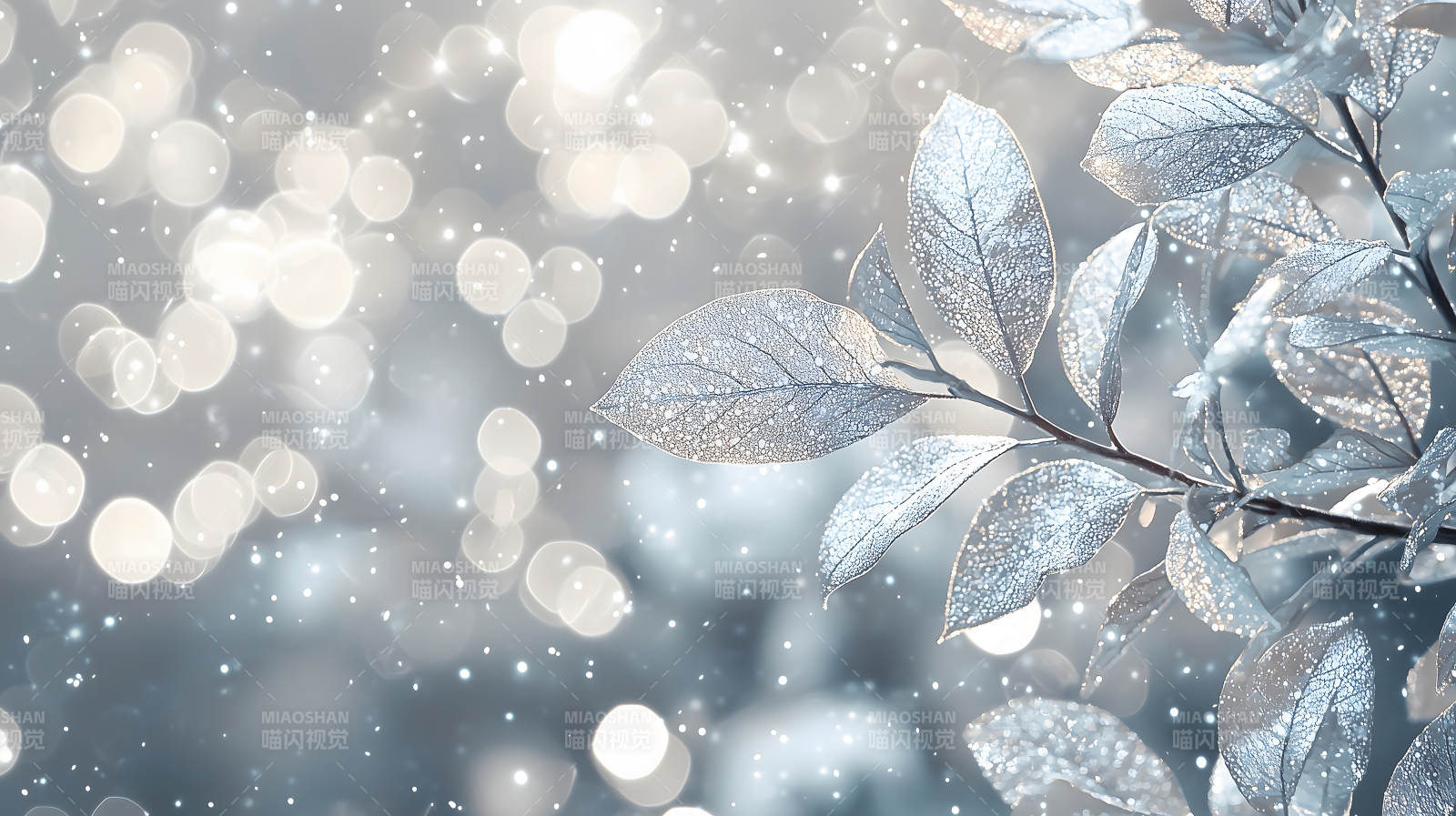 冰霜叶片上的光影诗意图片